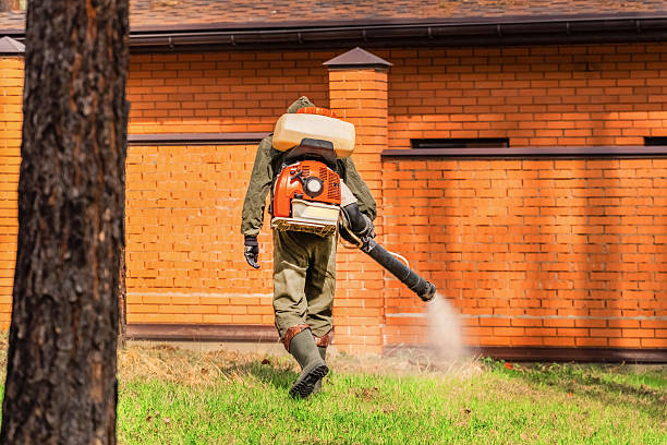 Bed Bug Clearance Verification and Documentation in Pine Castle